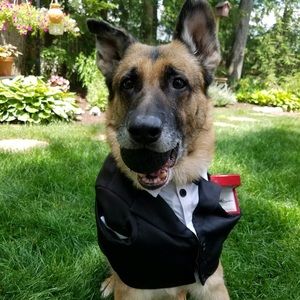 Meet your Posher, Stefanie